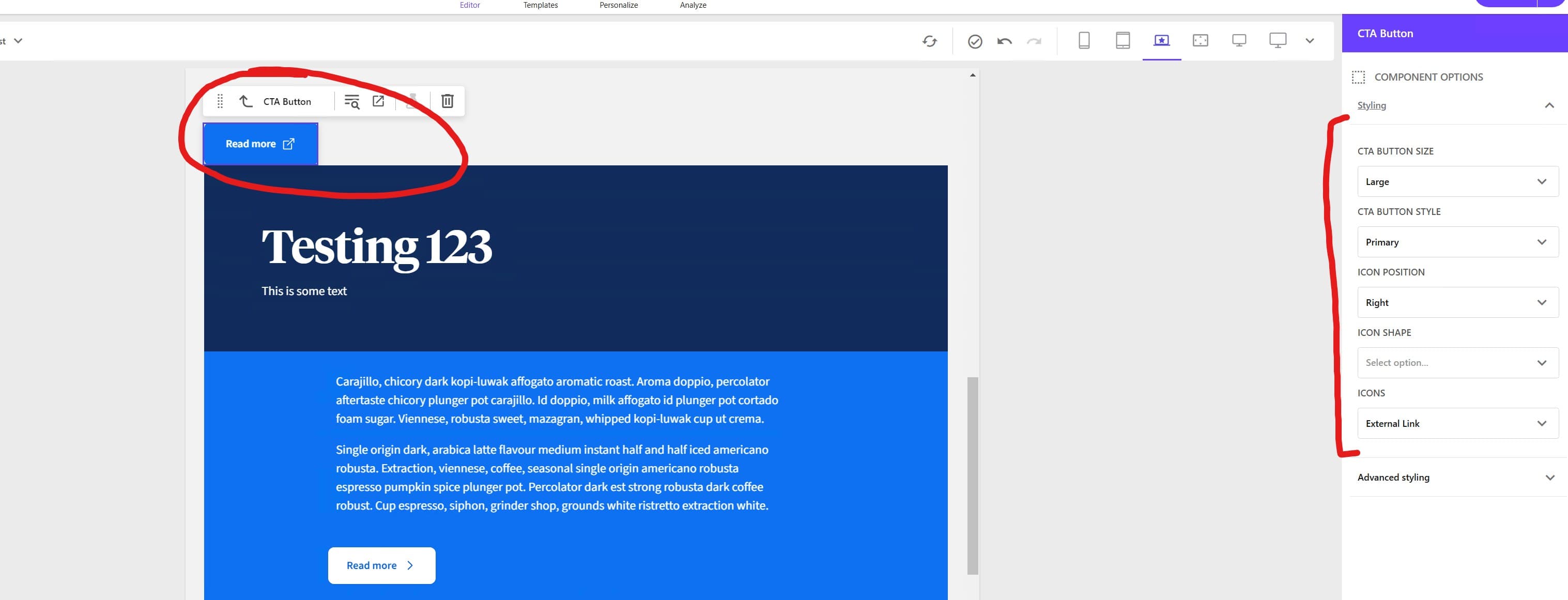 CTA Button Styling Parameters
