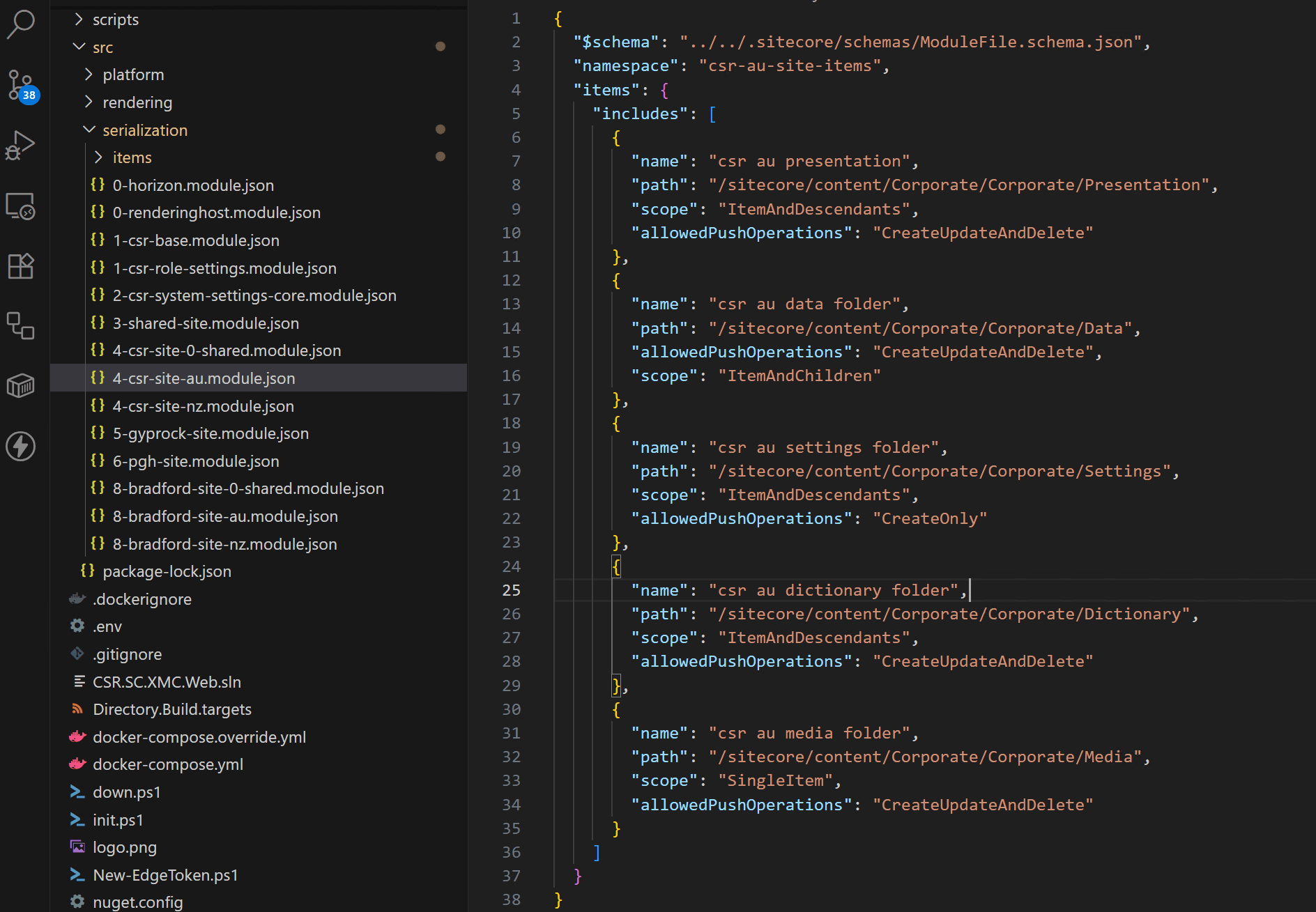 SCS Modules File Structure