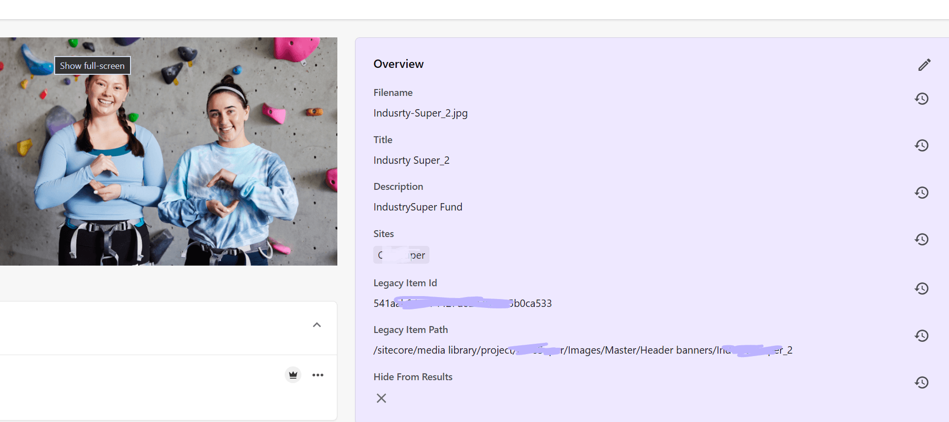 A migrated asset in Content Hub showing the Legacy Item Id and Legacy Item Path properties